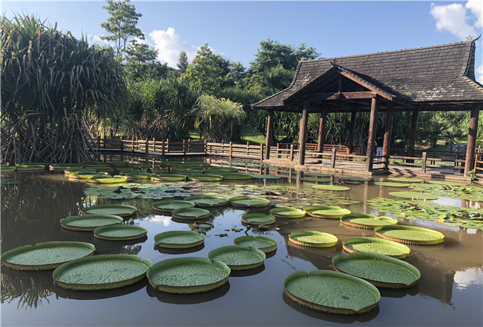 枣庄会议场地分类—枣庄会议旅游景色