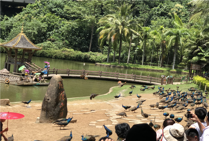 枣庄会议场地分类—枣庄会议旅游景色