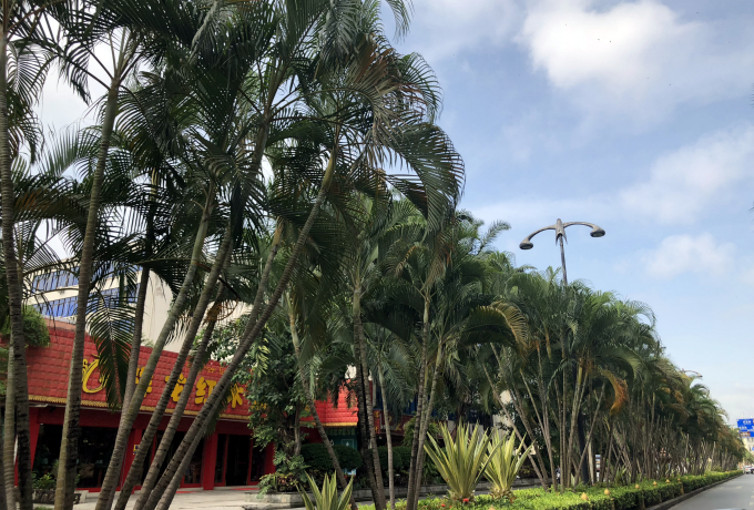 枣庄会议旅游目的地 枣庄会议旅游目的地