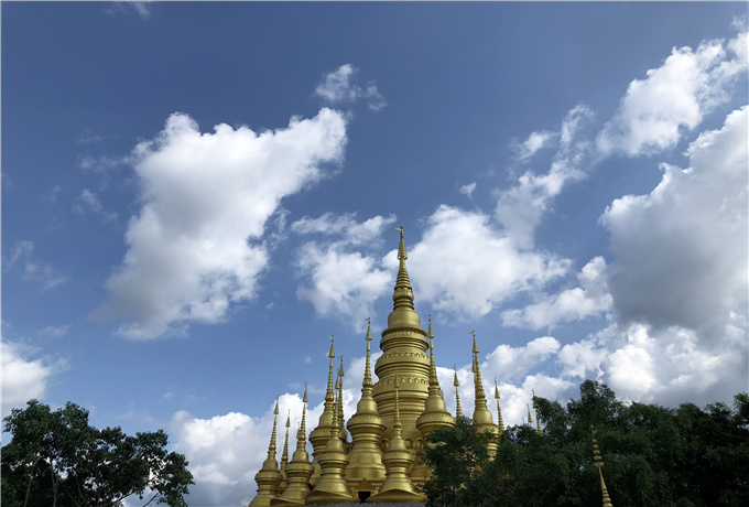 枣庄会议轿车接送多少钱一天—旅游美景